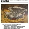 Parafialna Rodzina wrzesie 2014r